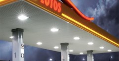 Lotos